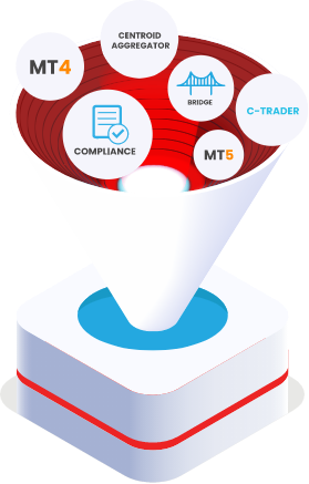 Connect multiple Platforms & Bridges