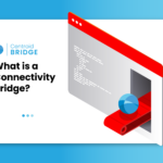 Connectivity bridge is key to setting up financial brokerage.
